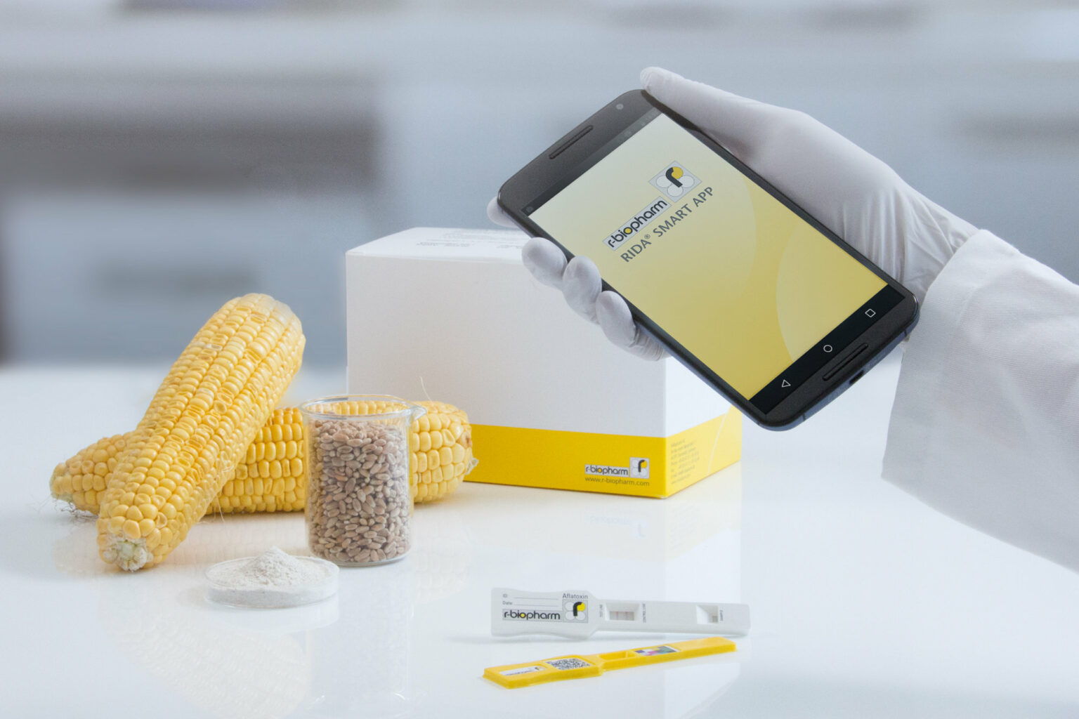 Mycotoxin Rapid Tests - Food & Feed Analysis