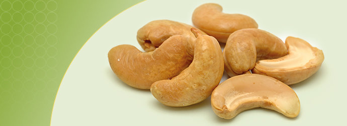 cashew