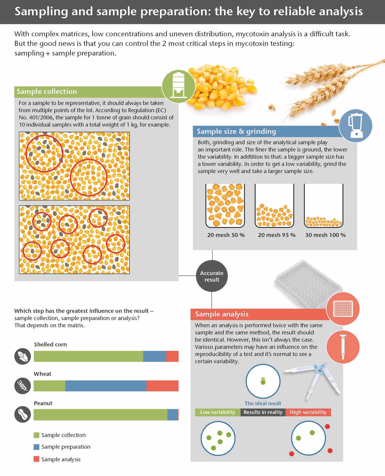 infographic mycotoxin sampling