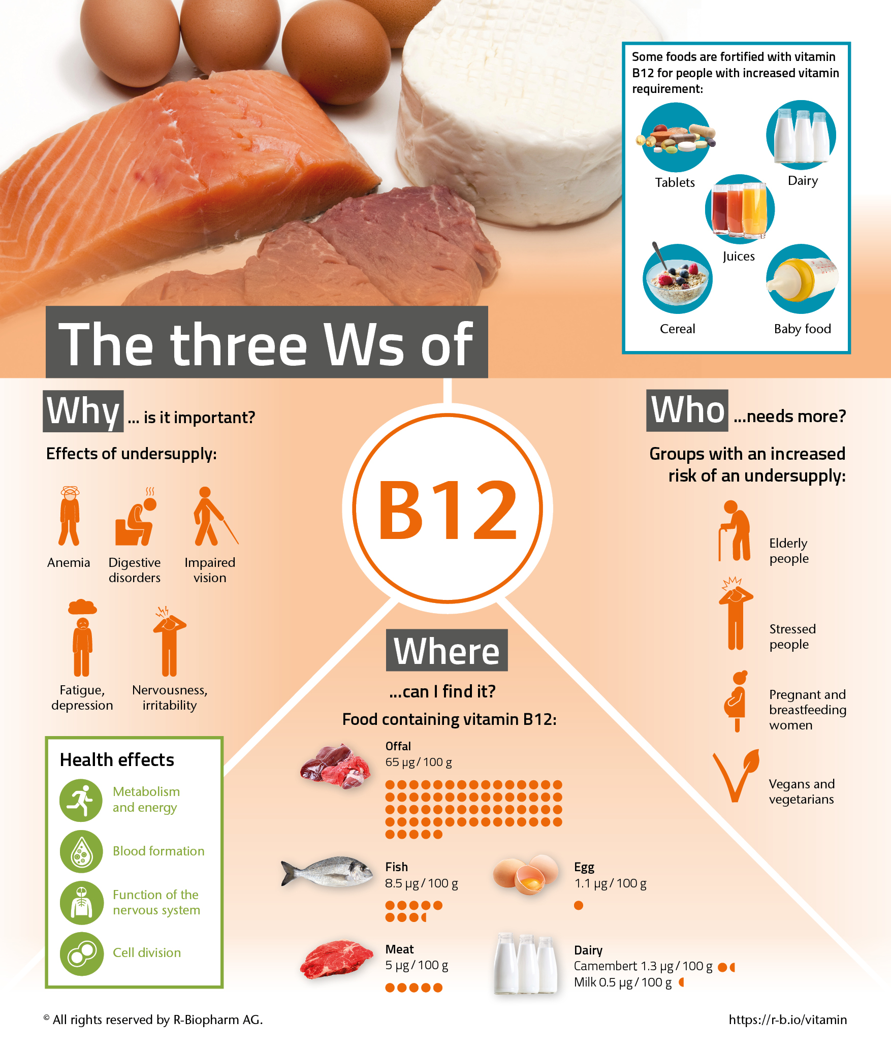 vitamin b12 foods