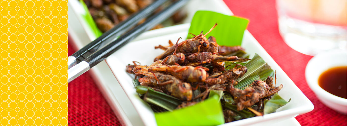 edible-insects-delicacy-or-allergy-risk-food-feed-analysis