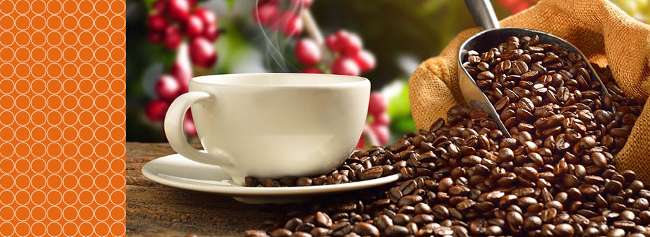 Ochratoxin in coffee