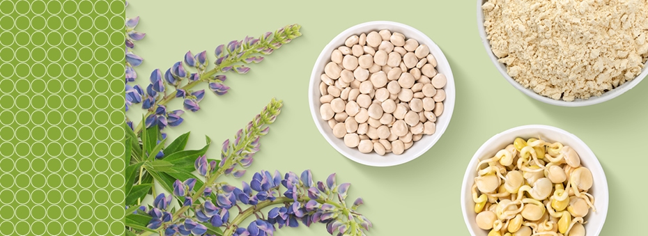 Lupine allergen