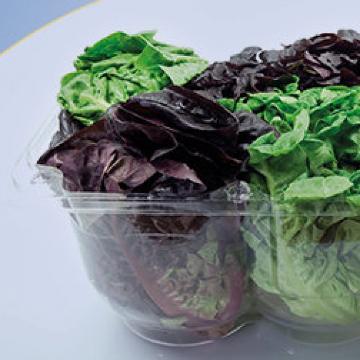 Microbial contamination Are prepackaged salads a health risk?
