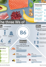 infografik_vitaminreihe_b6